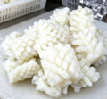 Snowflake Squid