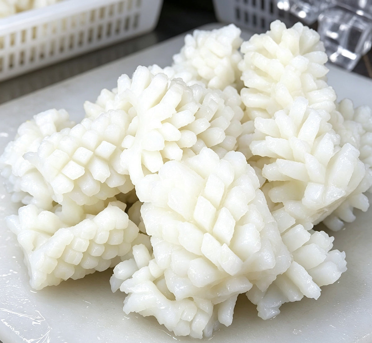 Snowflake Squid
